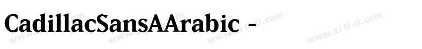 CadillacSansAArabic 字体转换
